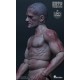 WorldBox 1/6 Durable body zombie